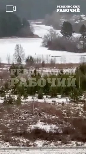 Дети провалились под лд в Ревде
