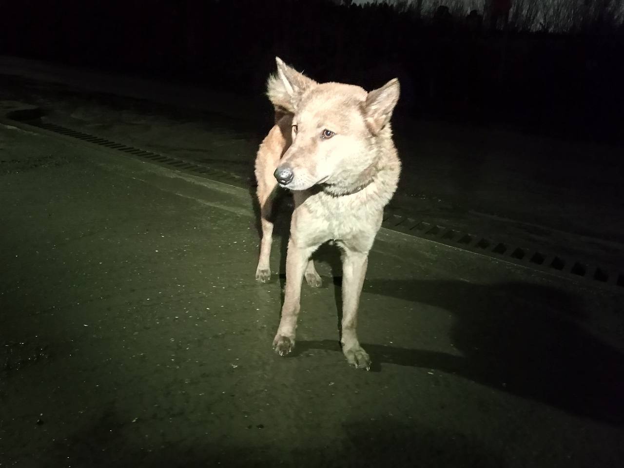 Согреваемся теплыми историями Согреваемся теплыми историями