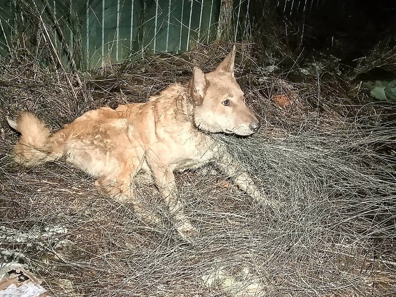 Согреваемся теплыми историями