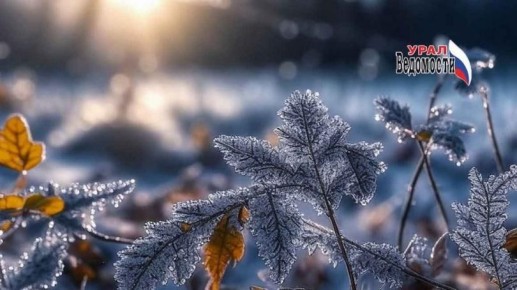 В Екатеринбурге морозы до -20 сменятся потеплением к 10 декабря