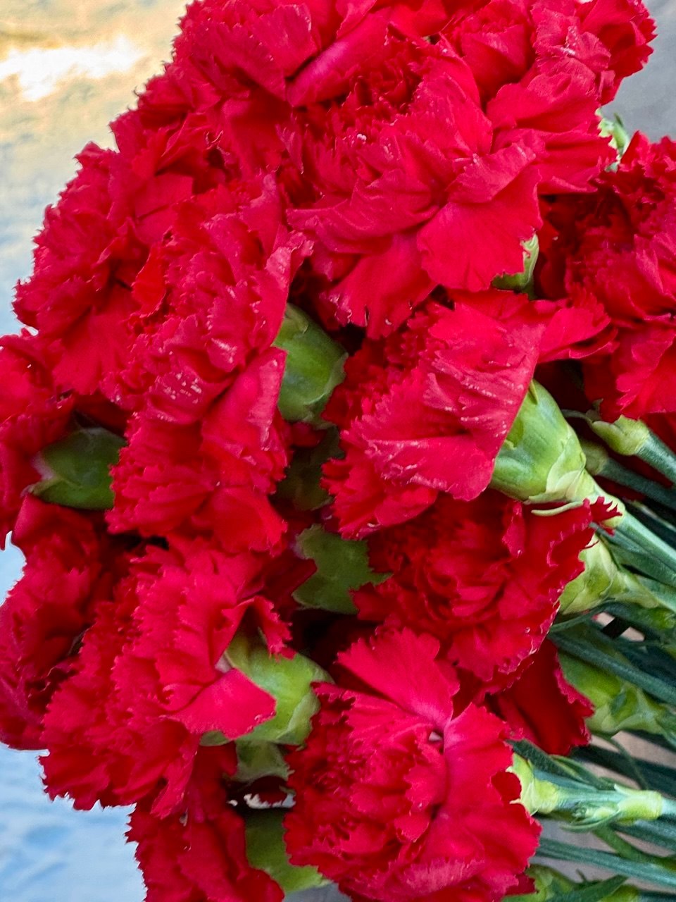 В Нижнем Тагиле отдали дань памяти Героям Отечества В Нижнем Тагиле отдали дань памяти Героям Отечества