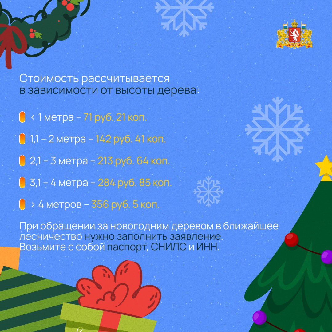 Отправиться за новогодней ёлкой в лес на Среднем Урале можно с 16 декабря Отправиться за новогодней ёлкой в лес на Среднем Урале можно с 16 декабря