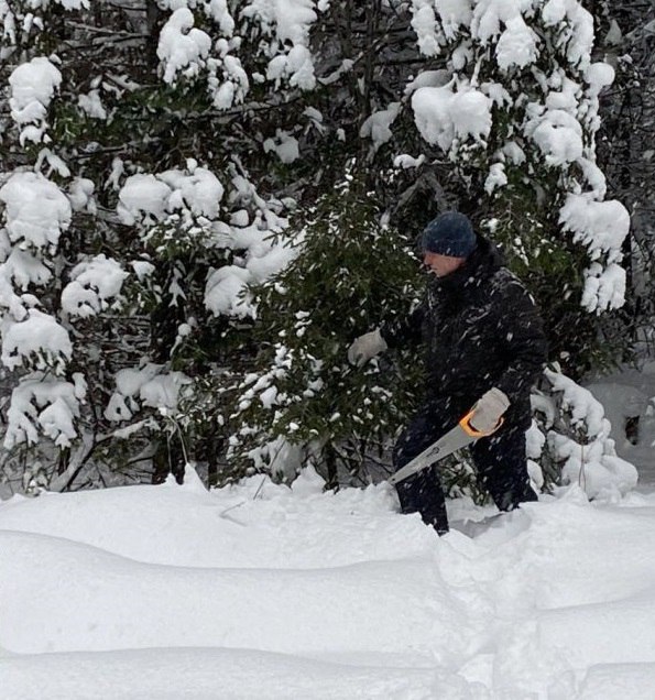 Жители Свердловской области с 16 декабря смогут заготовить новогоднюю ель Жители Свердловской области с 16 декабря смогут заготовить новогоднюю ель