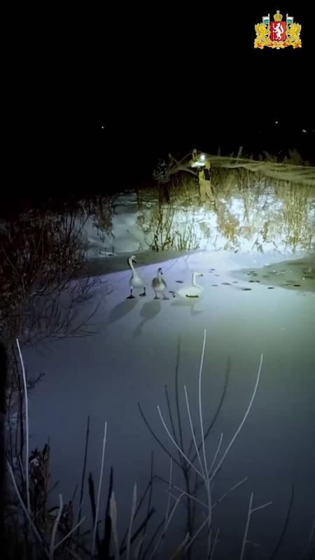 � ����������� ������ ������ �� ������ ����� �������