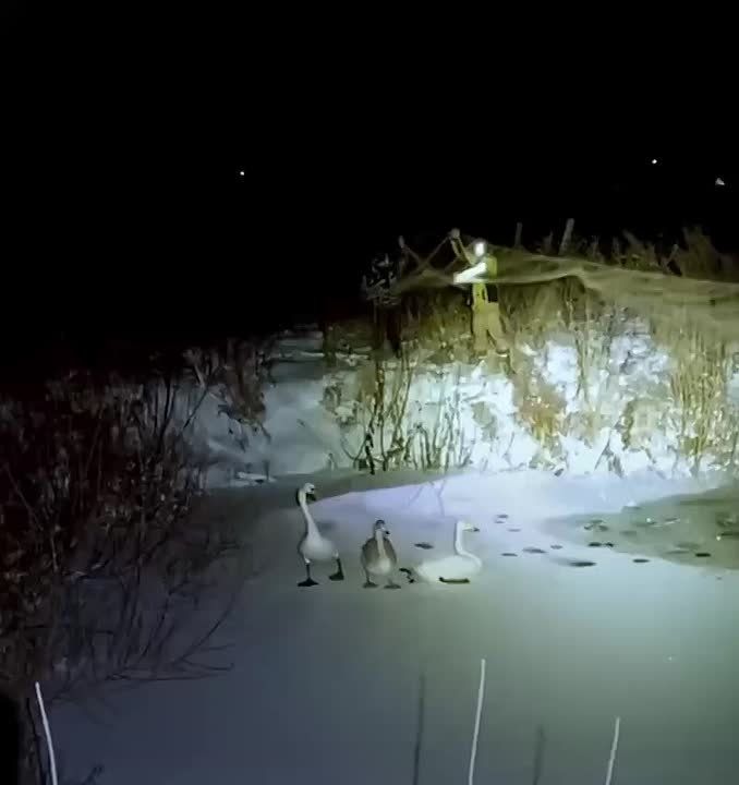 ��� ������ ������ ������� �� ������� � ����������� ������