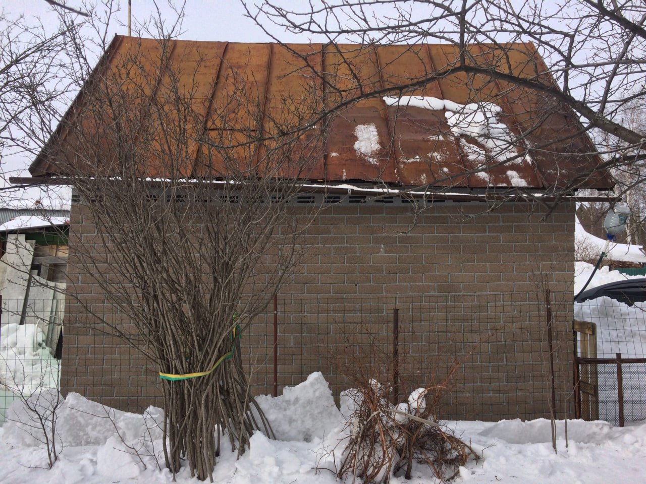 Думаете, зимой садовые хлопоты замирают? Ничего подобного! Самое время переключиться с лопаты на лекции, а с грядок — на стратегию защиты Думаете, зимой садовые хлопоты замирают? Ничего подобного! Самое время переключиться с лопаты на лекции, а с грядок — на стратегию защиты