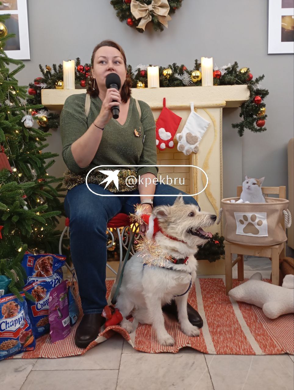 В Екатеринбурге проходит благотворительный новогодний праздник в поддержку животных «Теплота» В Екатеринбурге проходит благотворительный новогодний праздник в поддержку животных «Теплота»