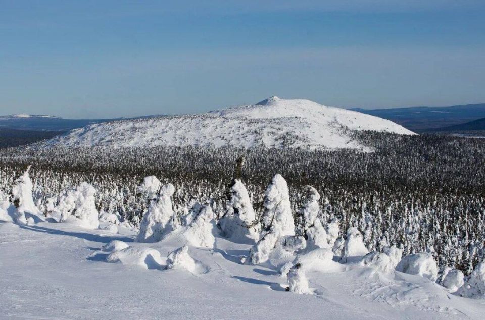 � �������� ���� ���� ������ ��������� ������ ��������