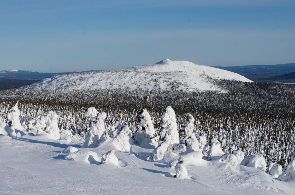 13 �������� �� ���������� ������� � ����� ��������