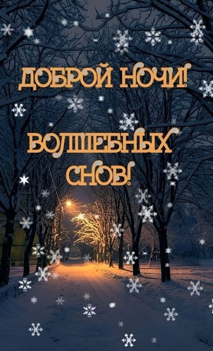 Сегодняшний день был насыщенным — полным событий, эмоций и новостей