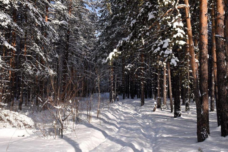 ���������� ���������� � ������������ ��������� �������� � �������� ������������ ������� � ������ � 15 �� 31 ������� �������� ����� ������, ����� ������� �������� �� ���������� ���������� ������� ��������