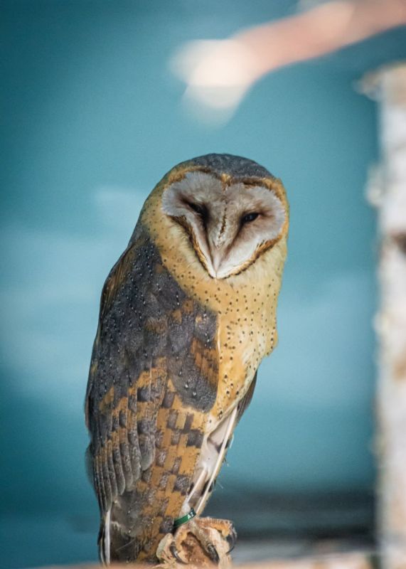 � ���������������� ������� �������� ���� �����