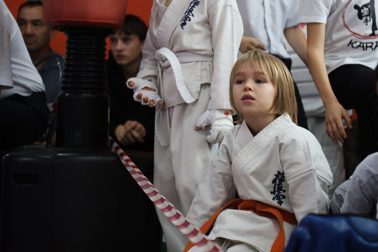 В Сысерти прошел предновогодний турнир по киокушин, посвященный Году Героев В Сысерти прошел предновогодний турнир по киокушин, посвященный Году Героев