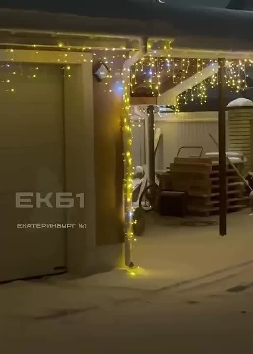 Вот такого гостя заметили жители коттеджного поселка в Белоярском районе