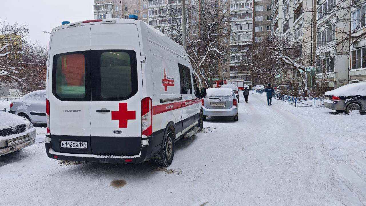 А в Екатеринбурге пожарные спасли мужчину и кота А в Екатеринбурге пожарные спасли мужчину и кота