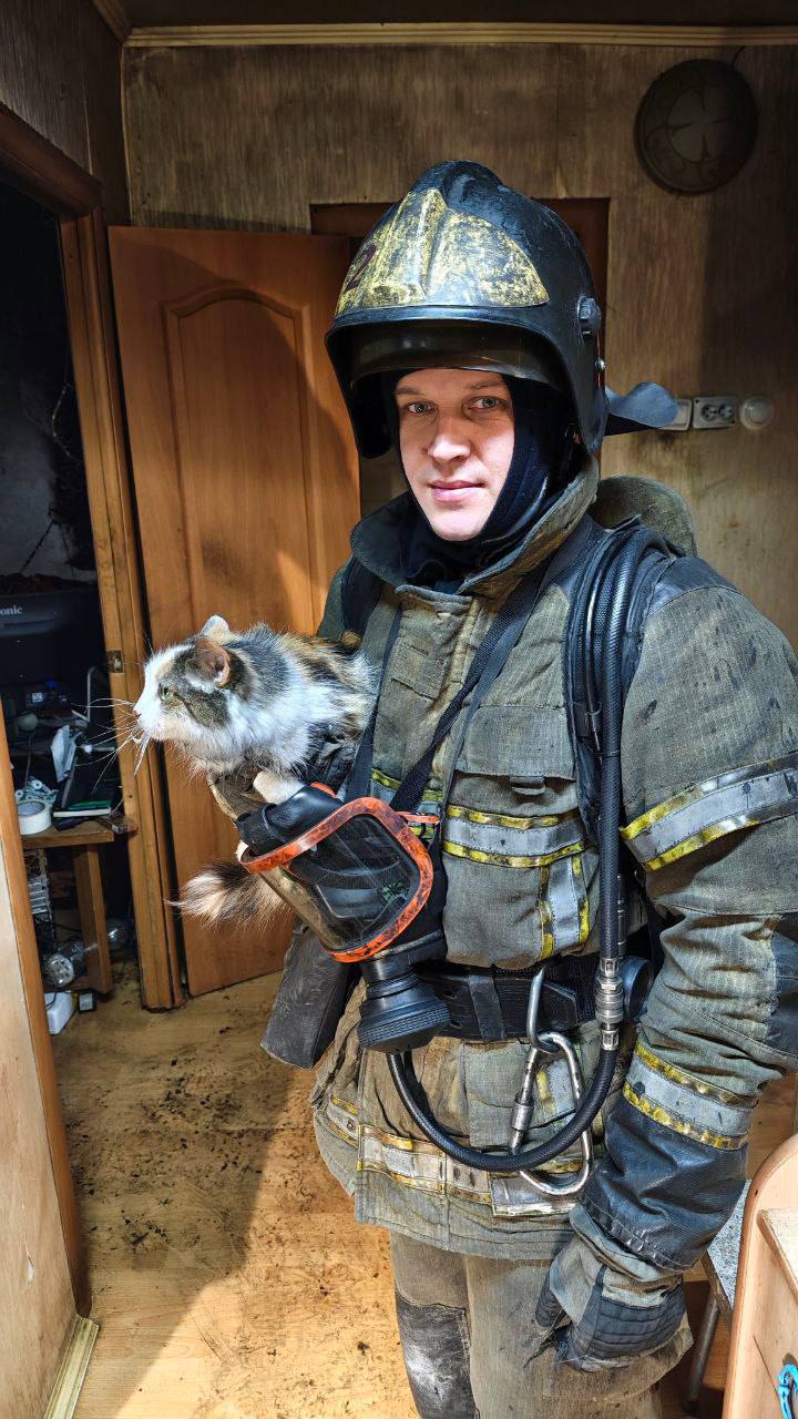 А в Екатеринбурге пожарные спасли мужчину и кота А в Екатеринбурге пожарные спасли мужчину и кота