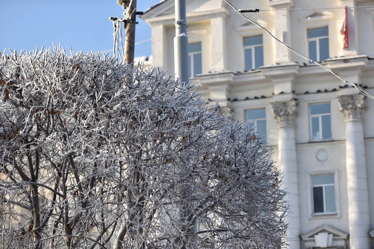 В Лесном обновляют автобусы, следующие по городским маршрутам В Лесном обновляют автобусы, следующие по городским маршрутам