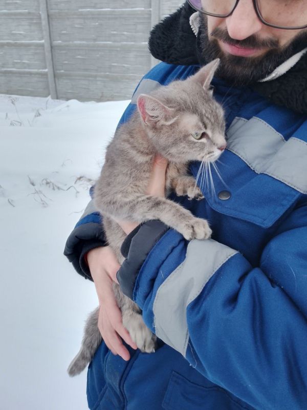 ������ ���� � �������� ����!