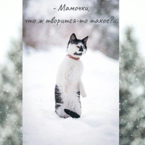 19 декабря синоптики прогнозируют неблагоприятные метеоявления с сильным снегом