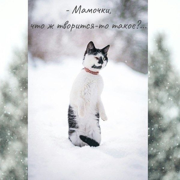 19 декабря синоптики прогнозируют неблагоприятные метеоявления с сильным снегом