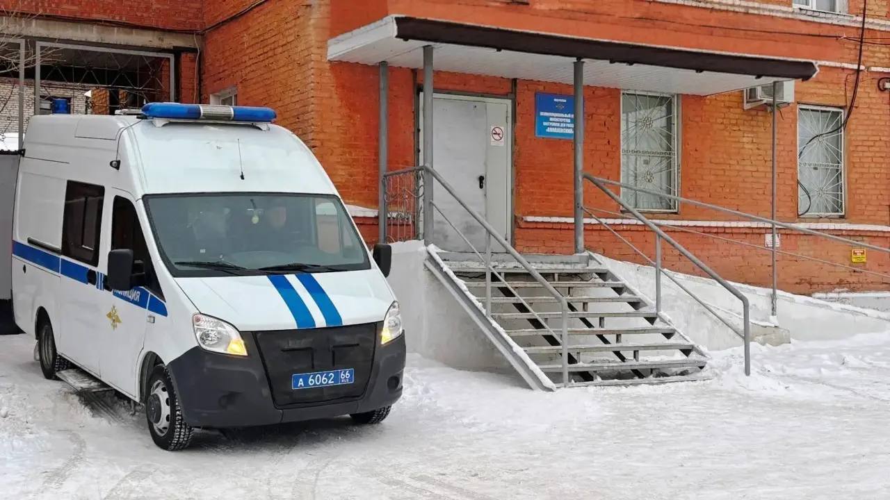 Полиция выявила коррупционную схему в сфере лесопользования в Алапаевске