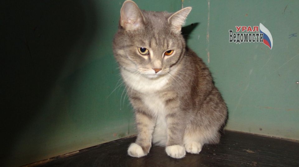 ����� ��������� �������� ������ �� ������ � ��������