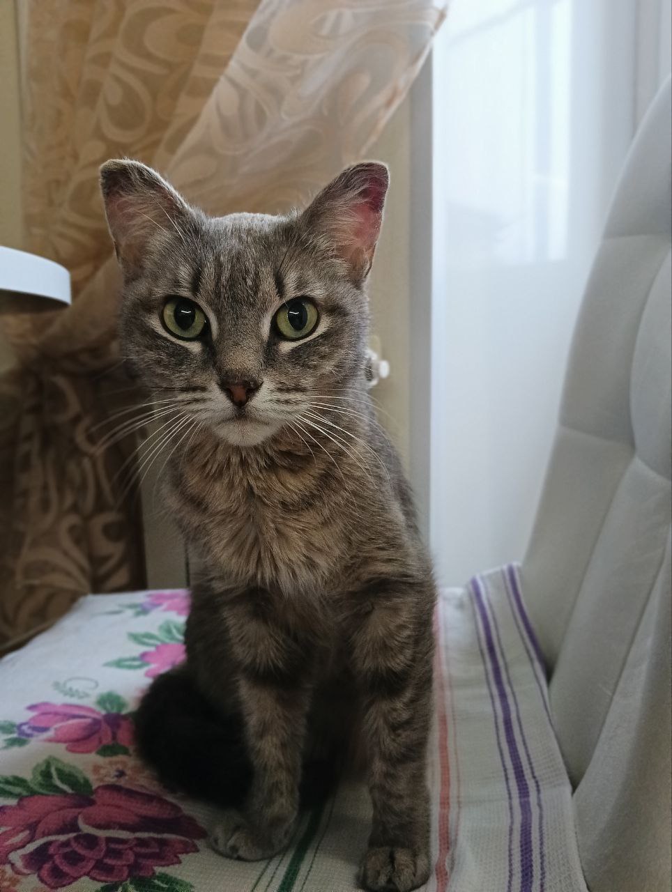 Доброе чудо в холодный день! Доброе чудо в холодный день!