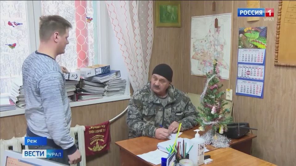 Пора за ёлкой: сразу 30 лесничеств региона начали выдавать разрешения на рубку хвойных деревьев