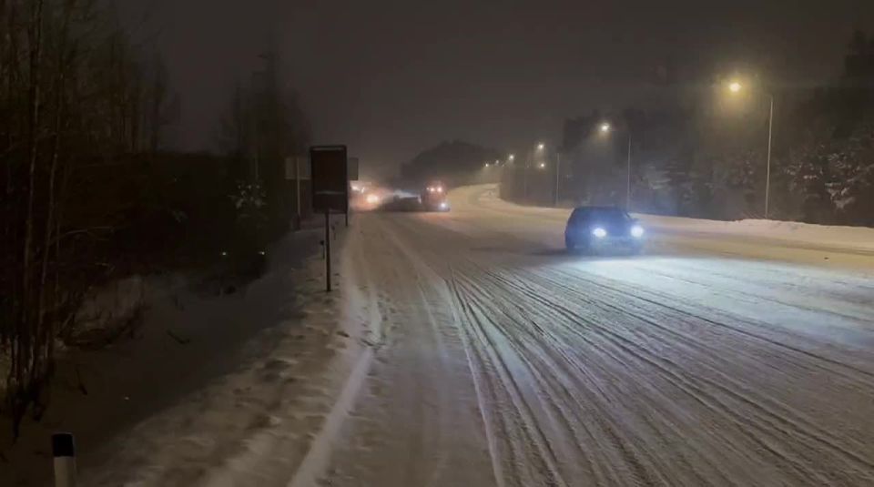 ������������ ������ ������� �� ����� 288 ������ �������