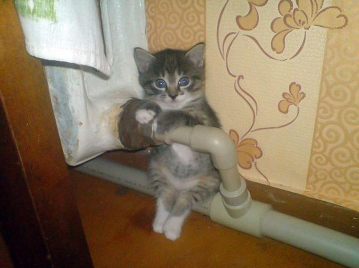 ��������� ��������� ������������� � ������� �������