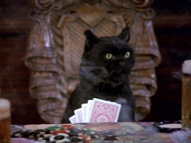 ������ ������� ������� � ������������ ������� � ������� ����� ������� ������