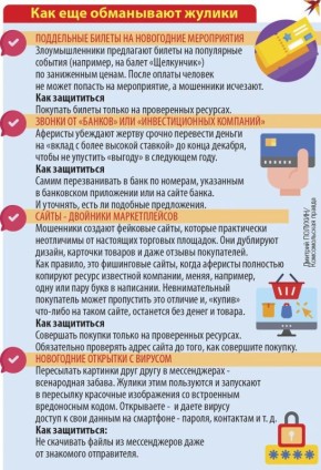 ТОП-10 популярных предновогодних схем обмана свердловчан