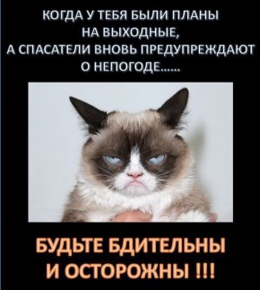 ��������!. �� ������ ���������� 21 ������� �� ���������� ������������ ������� ��������� ������� ���� � ������ ����� �� 17 �/�