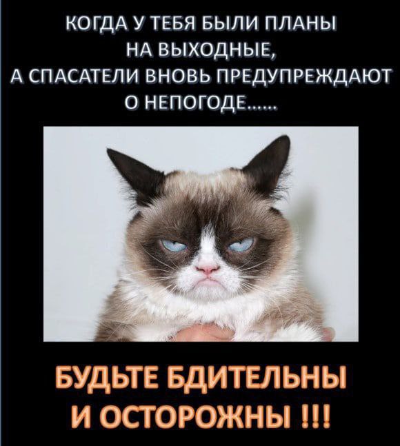 ВНИМАНИЕ!. По данным синоптиков 21 декабря на территории Свердловской области ожидаются сильный снег и порывы ветра до 17 м/с
