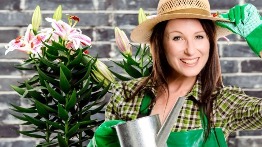 ������ ����� �� �����: ��� ��������� ��������� �� ��������� �������