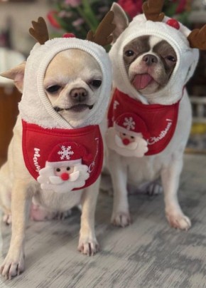 ��������� ������: ��� ����� ���!. #�����