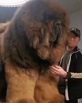 �����������: ��������� ������