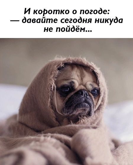 �� ������������ ������� ����� ����������� 30-��������� ������