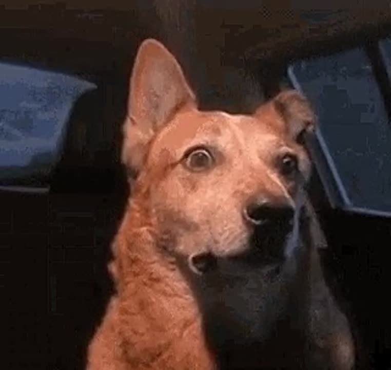 В Свердловской области могут ввести продажу детских смесей только по рецепту