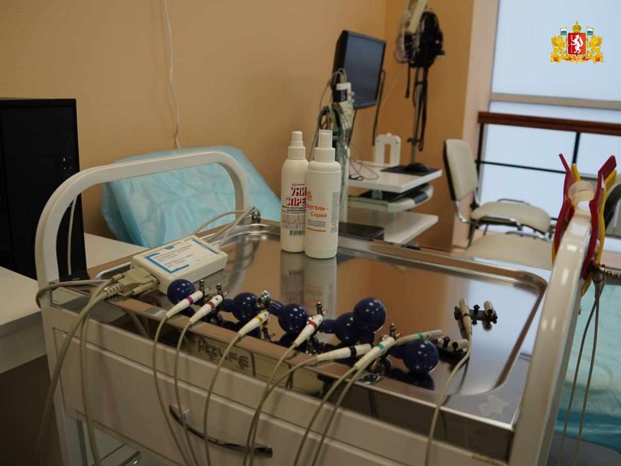 В Екатеринбурге после капитального ремонта открылась женская консультация ЦГКБ №3 В Екатеринбурге после капитального ремонта открылась женская консультация ЦГКБ №3