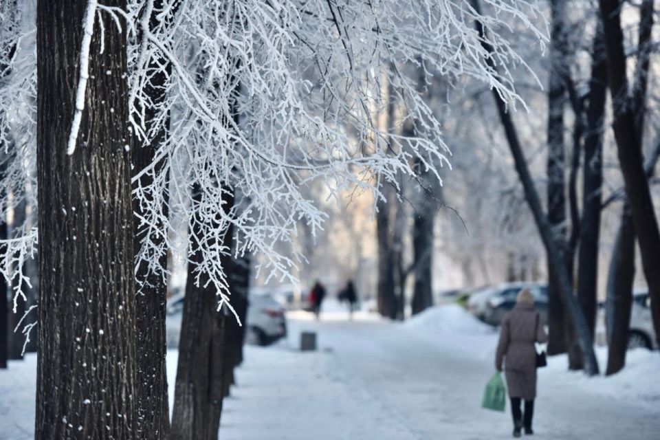 ��������� �������� ������ �� �������������� ������������ ������� ���� ������������� ����� �� 7 �������� � ����� ��������� �� ���������� ������������ ������� 24�27 �������