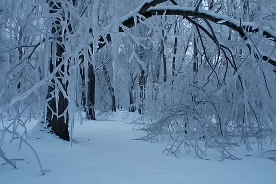 ЭКСТРЕННОЕ ПРЕДУПРЕЖДЕНИЕ. Ночью и утром 25 декабря местами в Свердловской области ожидается сильный мороз -40,-42