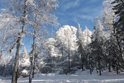 �� -42 �� ����� ����������� � ���� �� 25 ������� � ��������� ������� ������������ �������, ������������� ������� ���