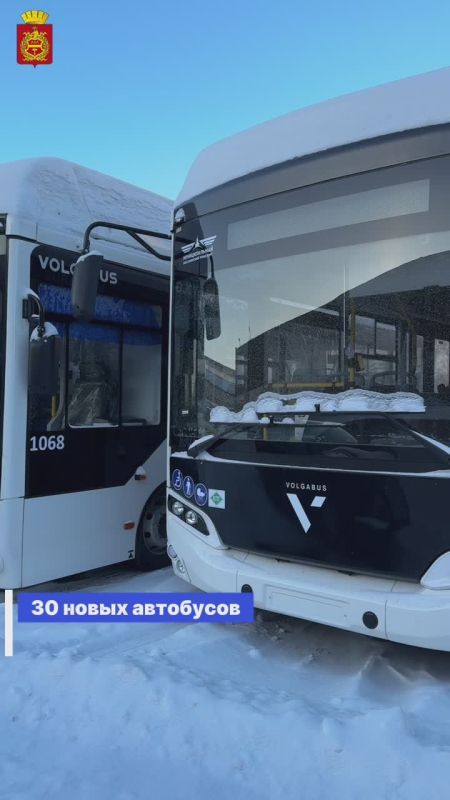 ��������� ������: ������ �� ��������� ������� ������-�» � ����������� �������