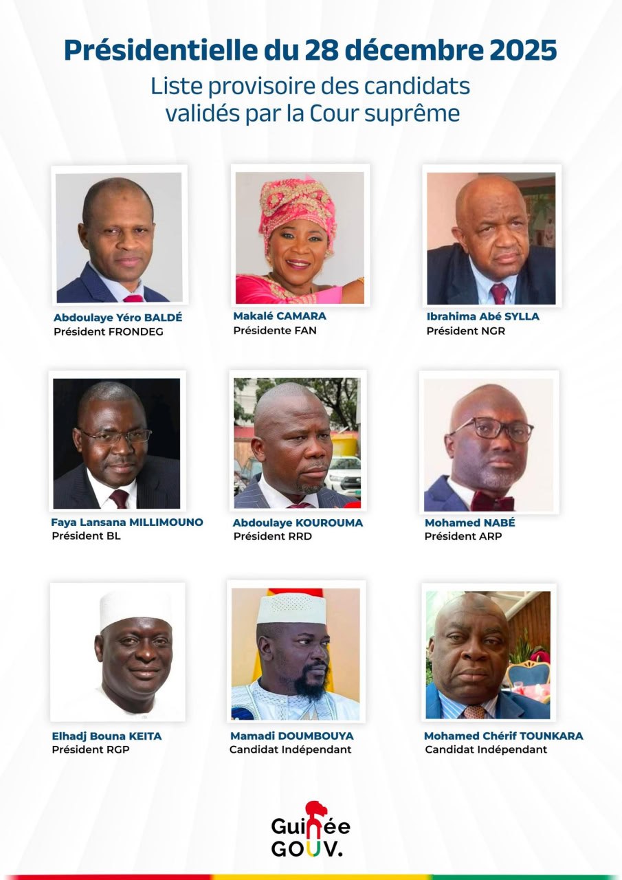 В шести городах России образованы избирательные участки по выборам Президента Гвинейской Республики