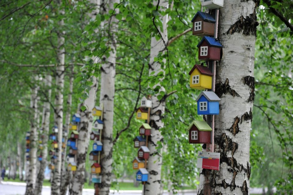 ����������� ����������� � ������� ��������������� ������������ ������� ������� �������� ������������ ����� ������ �� ������ � ������������ ������������ ����������