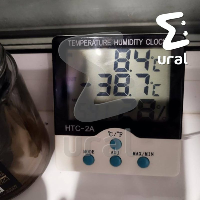 ����������� � ��������� ������� ������ ����������� �� ���� � ������ �����