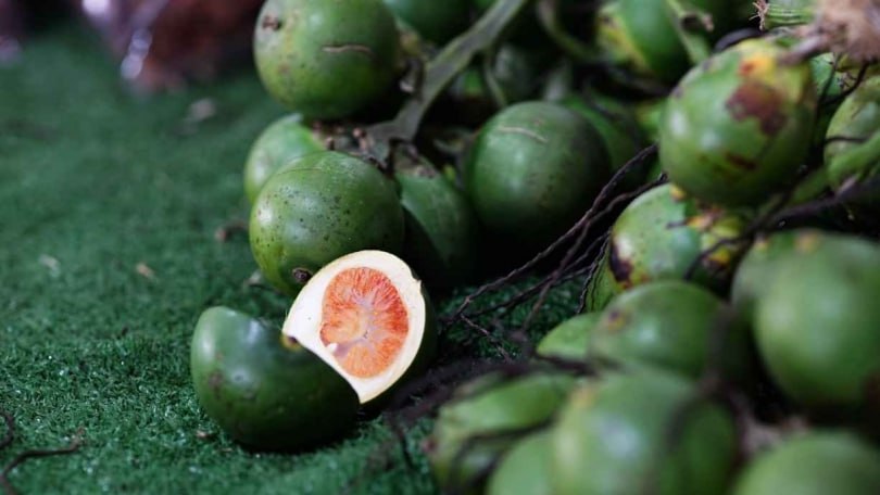 Новый кошмар наркологов Ревды: алкогольные конфеты и орехи-убийцы