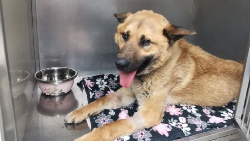 � ������������� ����� �������� ����� �������� ��� ���