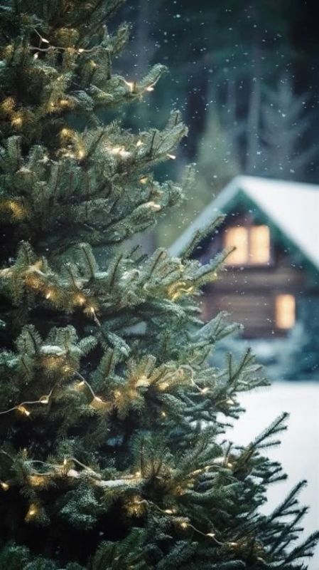 ������ ����, ����!. ����������� � ��������� ����� ����� �����������! ������� ������������ ����� (�� ����� ������): -8� ����, �� � ����� � �� �������� ������ ��������� ��������